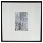 Grafika w Drewnianej Ramie FOREST III 60x60cm